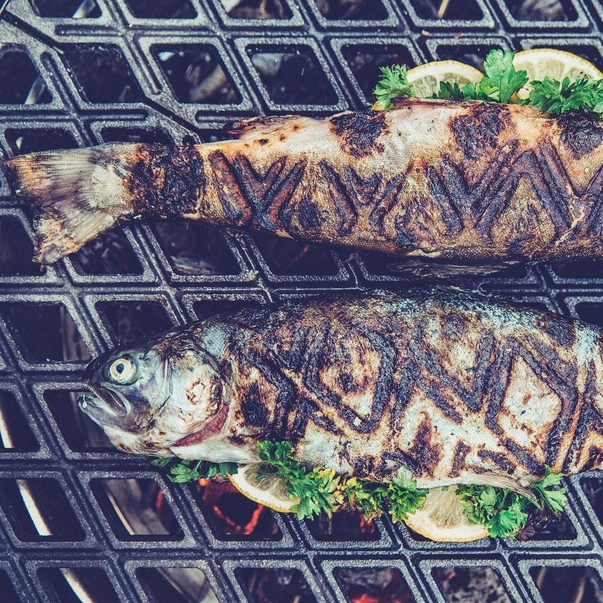 Höfats Gussrost, CONE - Grillstar.deHöfats Gussrost, CONEHöfatsGrillstar.deH0103014260447330054